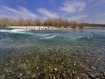 Parco Naturale delle Lame del Sesia