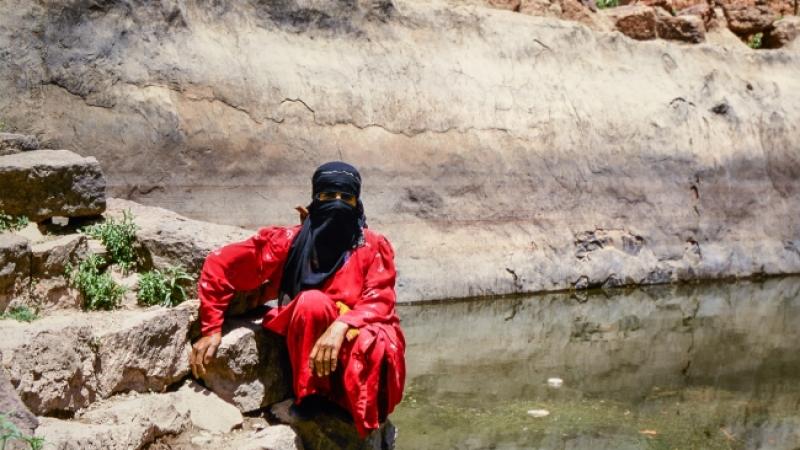 Safar: Viaggio in medio oriente