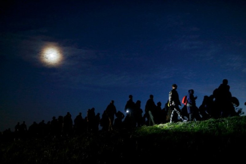 La Mandria di Notte - Storie, Misteri e Curiosità del Parco