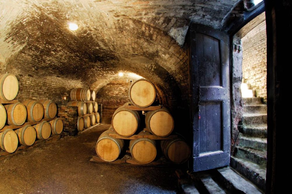 Porte aperte in cantina - Langhe 2019