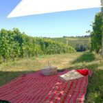 Gianni Doglia: Picnic in Vigna