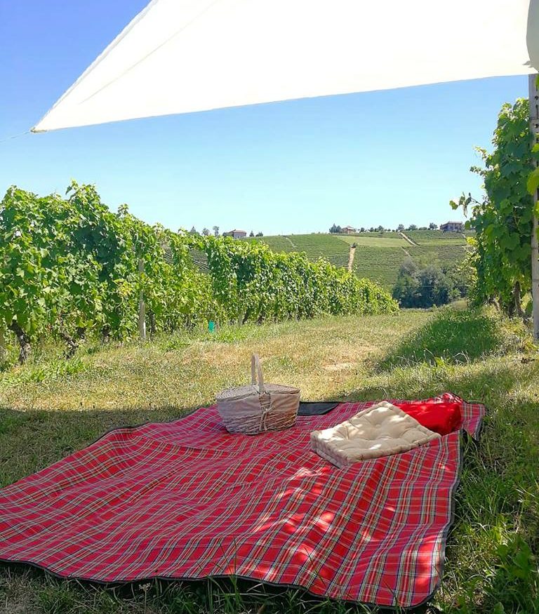 Gianni Doglia: Picnic in Vigna