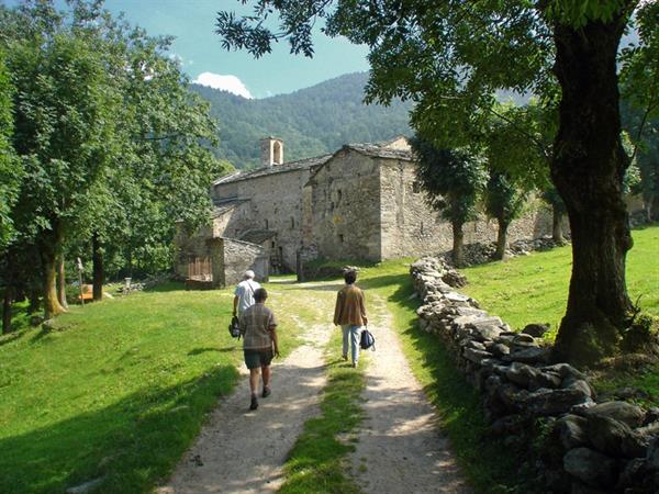La magica foresta - Una Fiaba ecologica