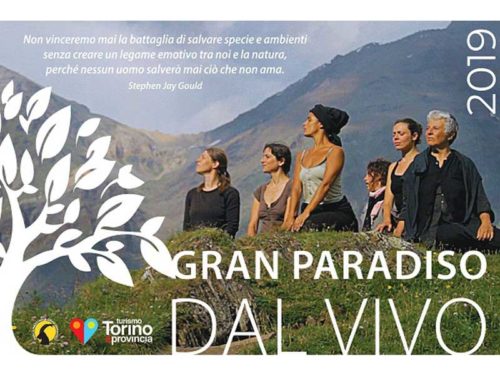 Gran Paradiso dal Vivo 2019
