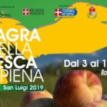 Sagra della pesca ripiena - Vauda