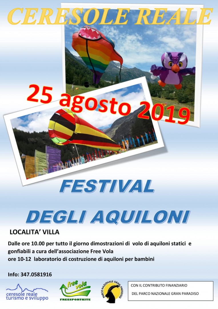 Festival degli aquiloni - 5^ edizione