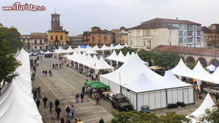 Fiera del bue grasso e sagra del bollito - Moncalvo