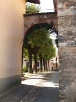 Museo di Scienze Naturali “Cavalier Locca” – Guardabosone