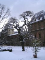 Orto Botanico – Torino
