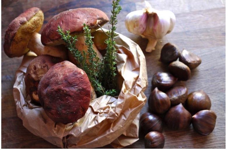 Sagra della Castagna e del Fungo 2021- Rossana