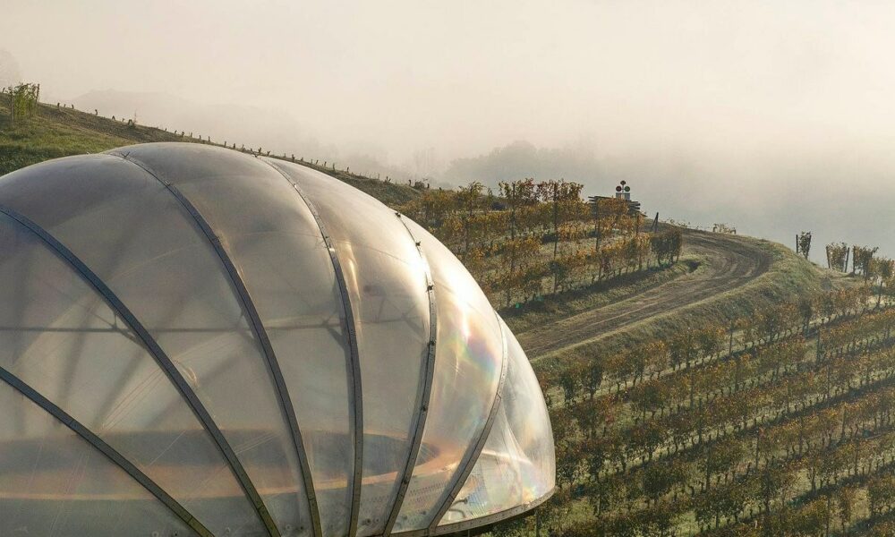 La bodega Ceretto di Alba es la mejor bodega de Italia según World’s Best Vineyards 2023