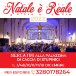 Natale è Reale - Stupinigi 2022