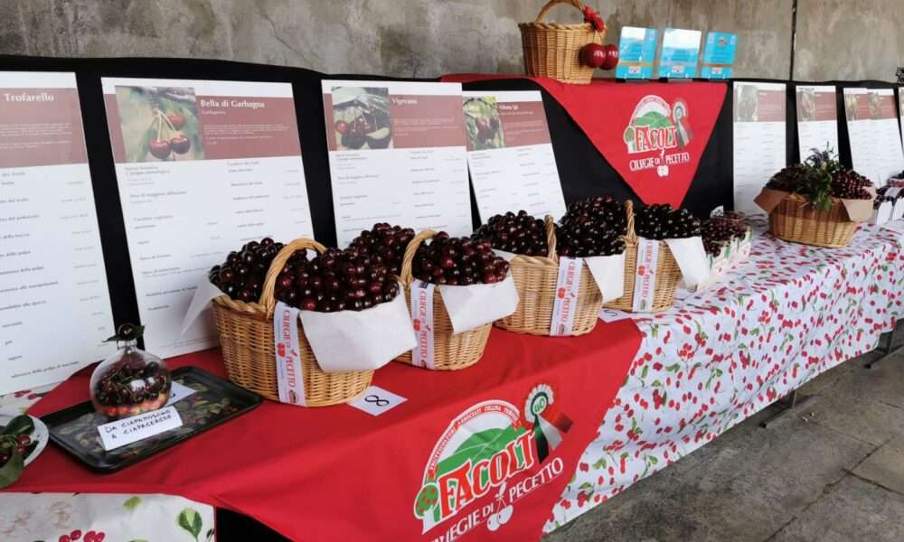 Festa delle Ciliegie Pecetto 2025