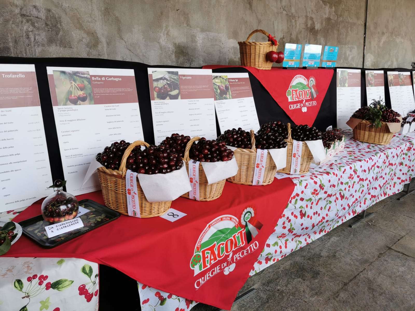 Festa delle Ciliegie Pecetto 2025